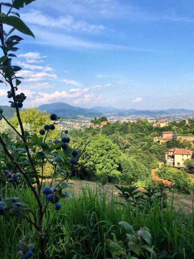 Foresteria Antica Bastia B&B Bergamo Zewnętrze zdjęcie