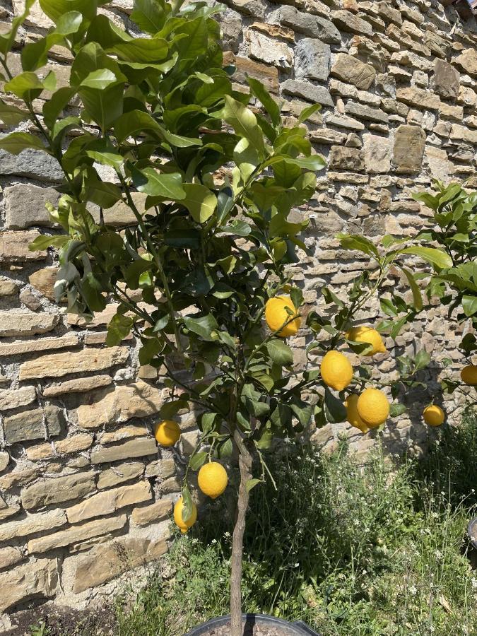 Foresteria Antica Bastia B&B Bergamo Zewnętrze zdjęcie